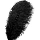 Natural Black Ostrich Feathers 8-18inch  20-45cm  For Wedding Party Home Decor