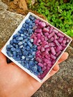 Natural Unheated Certified Ruby Raw   Sapphire Loose Gemstone Rough Mix 100 Ct