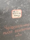 Antique Herbarium And Plant Descriptions Meier Ginn And Company Complete 1907