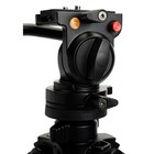 Celestron Regal Premium Tripod For Spotting Scopes  Binoculars   Cameras