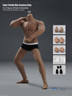Male Action Figure Body Tbleague 1 6 Pl2016-m33 Muscular Seamless Phicen 12inch