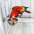 Anti Tip Stainless Steel Parrot Feeding Cups Locking Bird Food   Water Bowls
