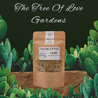 Eucalyptus Leaf    Eucalyptus Globulus   Eucalyptus Tea
