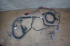 1996 Yamaha Timberwolf Yfb250 Main Wiring Harness