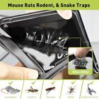 Ultra-efficient Glue Mouse   Rat Traps Indoor For Home -12  Assorted Styles 