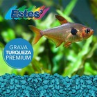 Spectrastone Special Turquoise Aquarium Gravel For Freshwater Aquariums  5-po   
