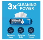 Cottonelle Fresh Care Flushable Wet Wipes  10 Flip-top Packs Free Shipping