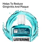 Listerine Cool Mint Antiseptic Mouthwash For Bad Breath  Plaque And Gingivitis