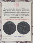 Roman Emperor Caligula Authentic Genuine Ancient Bronze Provincial Coin With Coa