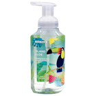  2 Pack  Scent Theory Foaming Hand Soap  Island Aloe  11 Fl Oz - Free Shipping