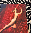 Marilyn Monroe Rare Tom Kelly Red Velvet 16  X 20  Outtake Vintage Photograph  4