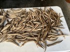 160 Dried Okra New Crop Great For Craft Use
