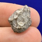 Nwa 13974 Moon lunar Meteorite  Feldspathic Breccia  Recent Find  0 79 Grams