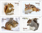  new  2026  Squirrels   Chipmunks   Bkt Block Of 4  2026 Mnh -   after 9 25 26  