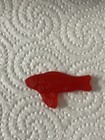 Rare Swedish Fish That Looks Like A Shark