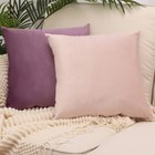 Pack Of 2  Velvet Super Soft Solid Decorative Square Throw Pillow Covers Set    