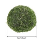 10pc  setgreen Marimo Moss Ball Cladophora Live Aquarium Water Plant Decoration 