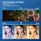 Led Photography Lighting Kit  2-pack 8    Portable Video Light With 29  Adjustable