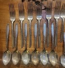 Vintage 1958 Wm Rogers Oneida Wildwood I-always Silverplate 6 Place Settings  