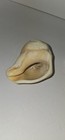 Lot Of 3 Sea Shells Beautiful Sea Shells  Bach Vibe Beach House Cottagecore