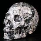 Huge 5 0  Picasso Jasper Carved Crystal Skull  Realistic  Crystal Healing
