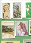 31 Tobacco Card Lot All Different Cards From All Different Sets