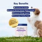 Probiotics For Dogs Soft Chews For Seasonal Allergies  Gut  And Digestive Health