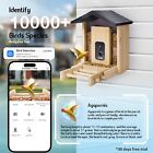 Smart Bird Feeder With 2 5k Hd Camera Ai Identify Bird Feeder Solar   Battery