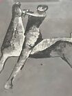 Marino Marini Horse   Rider Lithograph 1953 Vintage Modern Italian Cubist Cubism
