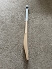 Dsc Player Edition Cricket Bat