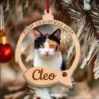 Calico Cat Christmas Tree Ornament     Personalized Photo Gift For Cat Fans