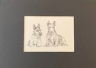 Scottish Terrier Duo - Matted   Framed   Ready To Gift - 1963 Vintage Dog Print