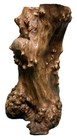 Large Chinese Burlwood Naturalistic Tree Trunk Brush Pot Bitong