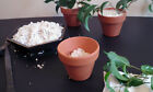Perlite  fast Ship   Quality Medium Fine  Seed Starting Nursery Potting Plants