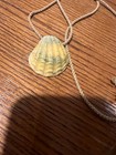 Large Natural Hawaiian Sunrise Moonrise Shell Pendant Very Nice Unisex