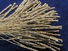 Vintage Flower Stamen Bunch Antique Gold Bronze Very Cool And Unusual  B83