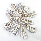 15pc Knobby Center Cut Shells For Beach Crafts Nautical Art Ornament Approx 3  I