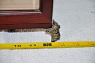 Vintage Bombay Company Glass   Wooden Display Box Elephant Feet Trunk Up 12 x8 