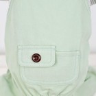 Smalllee_lucky_store Striped Shirt Bib Xs back  7 9   Chest  11 8    Grey