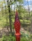 Mid Century Orange red Amberina Italian Diamond Point Genie Bottle
