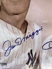 Joe Dimaggio   Mickey Mantle Signed Yankees Photo W  Coa