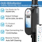 Chlorinator Salt Water For Swimming Spa Pool Chlorine Generator System 20g h