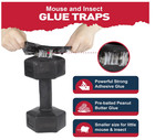 Mouse   Insect Traps 12 Pack  Heavier Sticky Traps With Non-toxic Glue For Mice