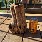 Hollow Hardwood Driftwood 9x4x6     Textured Aquarium   Terrarium Aquascape Wood