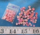   Baby Cup Shells   Multip-pink Mix   75    Shellcraft   Sailor s Valentines  