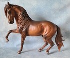 Traditional Andalusian  pre  pura Raza Espanol  Stallion Custom