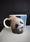 Vintage Taipei Giant Panda 8oz Ceramic Coffee Cup Mug 3 25 