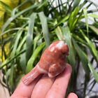 1pc Natural Sesame Stone Quartz Carved Bird Skull Crystal Reiki Decor Gift 2 4  