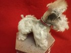Steiff 1950 s Vintage  snobby  Poodle 5 In Tall Grey Mohair No Button Ean 5314