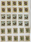T617  10x Guernsey Mnh Nature Trees Flowers Fauna Birds Flora Plants